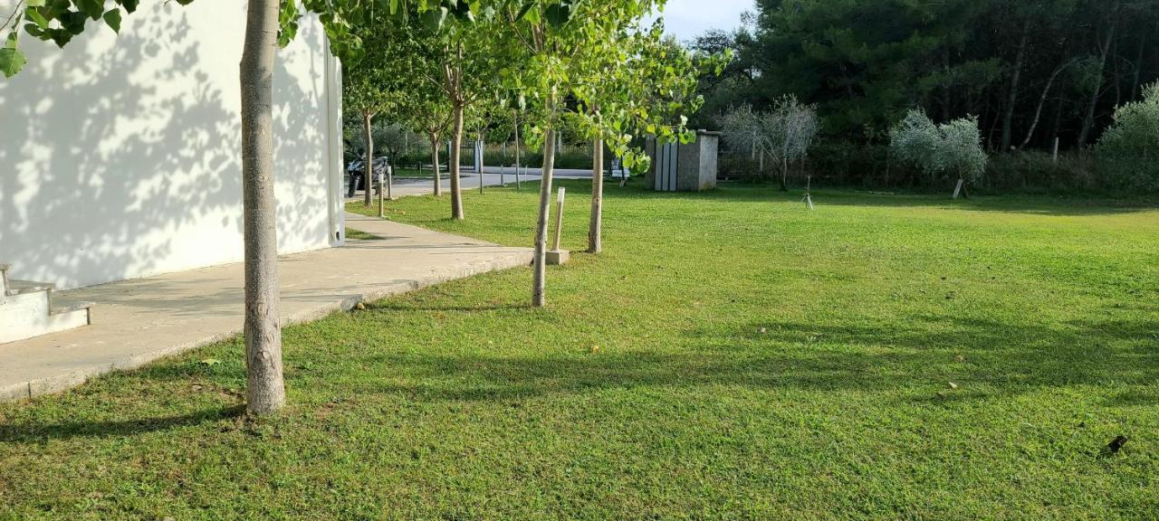 Riviera Inn Apartments Ulcinj Ngoại thất bức ảnh